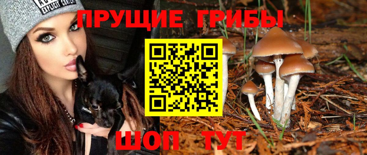 Галлюциногенные грибы Magic Shrooms Киров