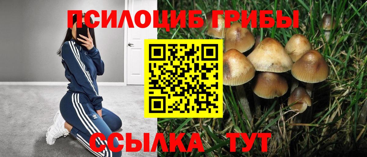 Киров  Галлюциногенные грибы мухоморы  Вход с VPN 